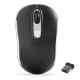 Everest SM-804 Optik Kablosuz Mouse Siyah